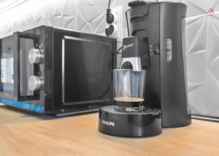 Carlas New Times Flat Tineretului Apartmán *